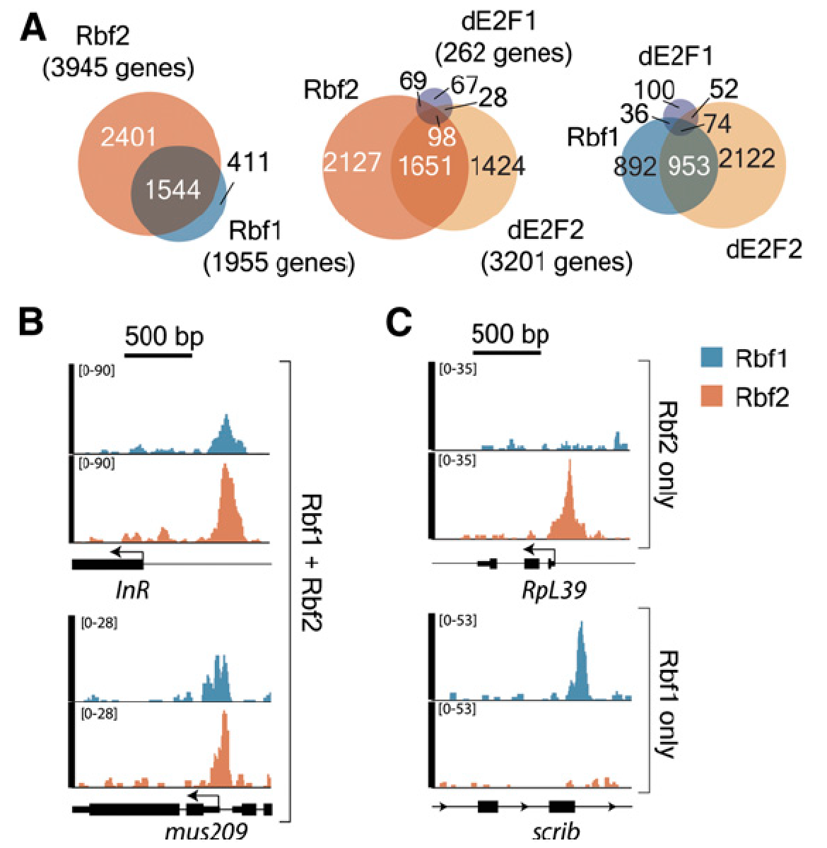 Figure 1 from G3 publication, Wei et al., 2015